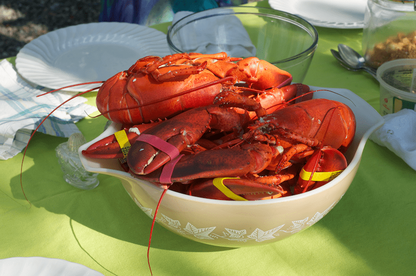 pot of Maine lobsters on July 4th