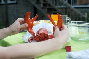 playing with the lobster