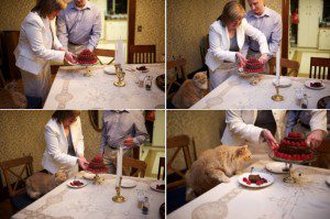 maine wedding photographer