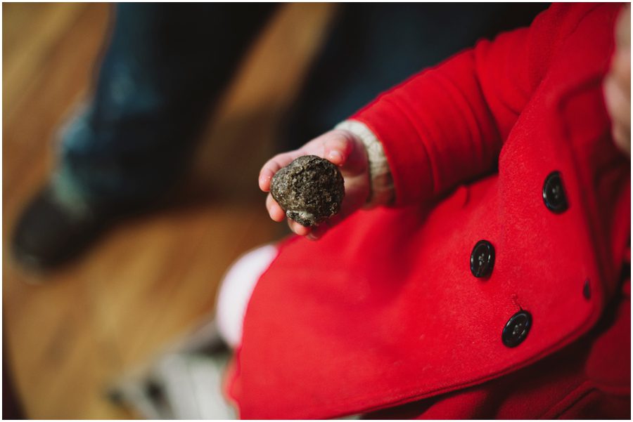 Christmas tree farm family photos by Danielle Brady Photography