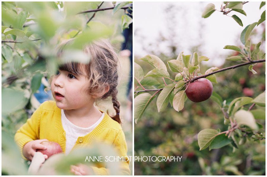 houston texas family photographer