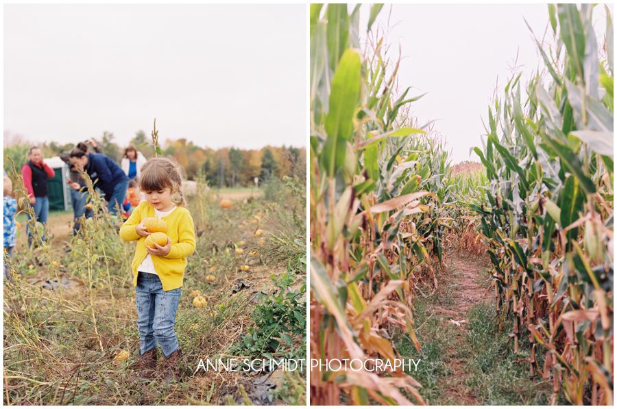 houston texas family photographer